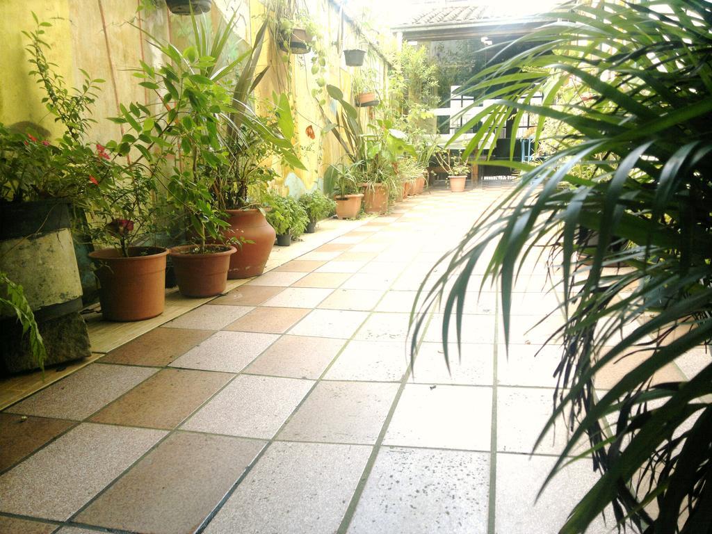 Pousada Flor Amarela บัลเนอาริโอ กังโบริว ภายนอก รูปภาพ